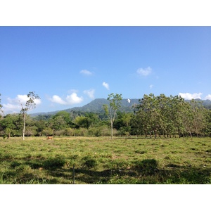 รูปถ่าย คอสตาริกา(Costa Rica) อูบีตา(Uvita) 2015-03 18