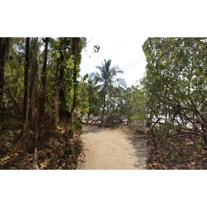 รูปถ่าย คอสตาริกา(Costa Rica) มอนเตซูมา(Montezuma) 2015-03 386