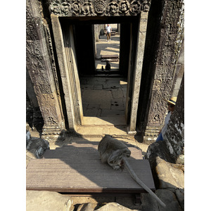 รูปถ่าย กัมพูชา(Cambodia) เสียมราฐ(Siem Reap) ปราสาทบายน(Bayon) 2023-01 109