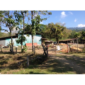 รูปถ่าย คอสตาริกา(Costa Rica) อูบีตา(Uvita) 2015-03 7