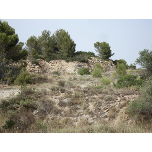 รูปถ่าย ฝรั่งเศส(France) โซเมียร์(Sommieres) 2006-06 106