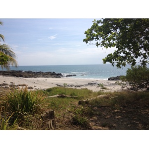 รูปถ่าย คอสตาริกา(Costa Rica) มอนเตซูมา(Montezuma) 2015-03 388