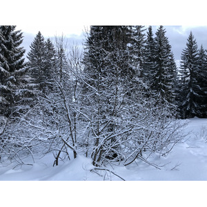 รูปถ่าย ฝรั่งเศส(France) ลากลูซา(La Clusaz) 2017-12 42