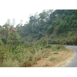 รูปถ่าย ไทย(Thailand) ถนนจากเชียงใหม่ไปปาย(Chiang Mai to Pai road) 2007-02 71