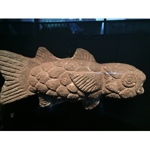 รูปถ่าย ฝรั่งเศส(France) ปารีส(Paris) พิพิธภัณฑ์เกบร็องลี(Quai Branly Museum) 2015-09 10