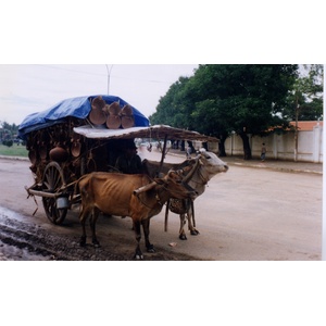 รูปถ่าย กัมพูชา(Cambodia) พนมเปญ(Phnom Penh) 1996-06 34