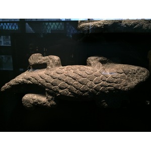 รูปถ่าย ฝรั่งเศส(France) ปารีส(Paris) พิพิธภัณฑ์เกบร็องลี(Quai Branly Museum) 2015-09 7