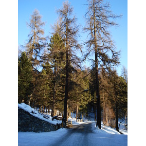 รูปถ่าย สวิสเซอร์แลนด์(Switzerland) เซนต์มอริตซ์ ชลาริญญา(St Moritz Schlarigna) 2007-01 39