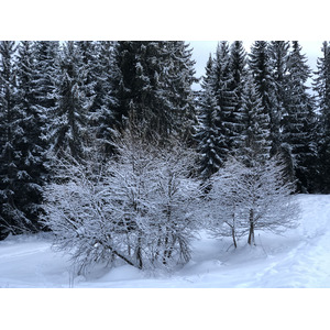 รูปถ่าย ฝรั่งเศส(France) ลากลูซา(La Clusaz) 2017-12 95