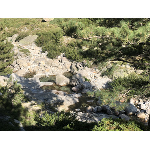 รูปถ่าย ฝรั่งเศส(France) คอร์สิคา(Corsica) หุบเขาลาเรสโตนีกา(La Restonica) 2020-07 59