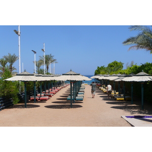 รูปถ่าย อียิปต์(Egypt) ชาร์มเอลชีค(Sharm el Sheikh) 2008-06 79