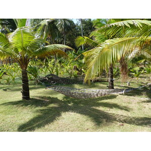 รูปถ่าย ไทย(Thailand) เกาะช้าง(Ko Chang) 2011-12 173