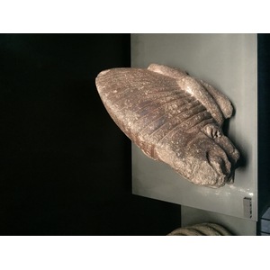 รูปถ่าย ฝรั่งเศส(France) ปารีส(Paris) พิพิธภัณฑ์เกบร็องลี(Quai Branly Museum) 2015-09 53