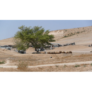รูปถ่าย อิสราเอล(Israel) ถนนจากอัชเคลอนไปอาราด(Ashkelon to Arad road) 2007-06 90