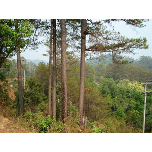 รูปถ่าย ไทย(Thailand) ถนนจากเชียงใหม่ไปปาย(Chiang Mai to Pai road) 2007-02 68