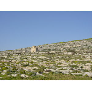 รูปถ่าย มอลตา(Malta) รอบๆเอ็มดินา(Around Mdina) 2003-03 4