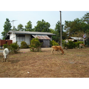 รูปถ่าย ไทย(Thailand) ถนนจากเชียงใหม่ไปปาย(Chiang Mai to Pai road) 2007-02 72