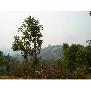 รูปถ่าย ไทย(Thailand) ถนนจากเชียงใหม่ไปปาย(Chiang Mai to Pai road) 2007-02 95