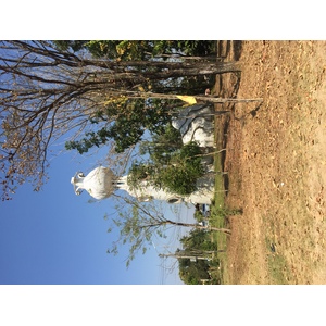 รูปถ่าย ไทย(Thailand) อุทยานแห่งชาติภูหินร่องกล้า(Phu Hin Rong Kla National Park) 2014-12 366