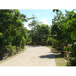 รูปถ่าย เฟรนช์โพลี่นีเซีย(Polynesia) โบราโบรา(Bora Bora) 2006-04 82