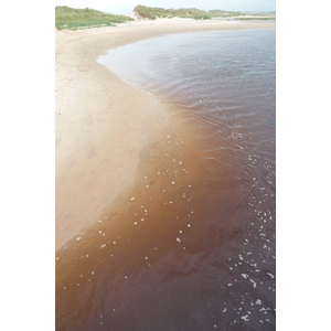 รูปถ่าย อังกฤษ(United Kingdom) สกอตแลนด์(Scotland) ลอสซีเมาท์(Lossiemouth) 2011-07 19