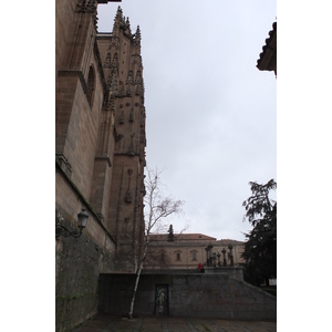 รูปถ่าย สเปน(Spain) ซาลามังกา(Salamanca) 2013-01 47