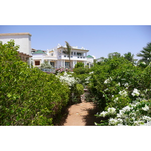 รูปถ่าย อียิปต์(Egypt) ชาร์มเอลชีค(Sharm el Sheikh) โรงแรมไฮแอต(Hyatt Hotel) 2008-06 179