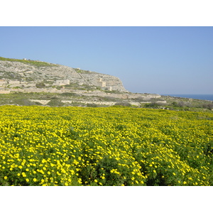 รูปถ่าย มอลตา(Malta) รอบๆเอ็มดินา(Around Mdina) 2003-03 6