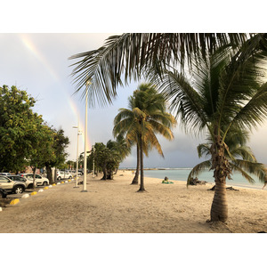 รูปถ่าย กวาเดอลูป(Guadeloupe) แซ็งตาน(Sainte Anne) 2021-02 17