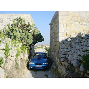 รูปถ่าย มอลตา(Malta) รอบๆเอ็มดินา(Around Mdina) 2003-03 5