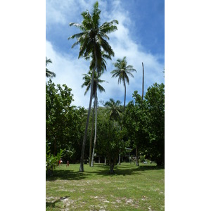 รูปถ่าย เซเชลส์(Seychelles) เกาะกร็องด์เซอร์(Grande Soeur) 2011-10 93