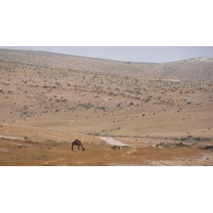 รูปถ่าย อิสราเอล(Israel) ถนนจากอัชเคลอนไปอาราด(Ashkelon to Arad road) 2007-06 11
