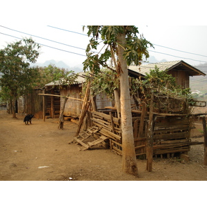 รูปถ่าย ไทย(Thailand) ปางมะผ้า(Pang Mapha) 2007-02 47