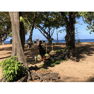 รูปถ่าย กวาเดอลูป(Guadeloupe) หาดกร็องด์อ็องส์(Grande Hanse Beach) 2021-02 15