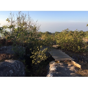 รูปถ่าย ไทย(Thailand) อุทยานแห่งชาติภูหินร่องกล้า(Phu Hin Rong Kla National Park) 2014-12 83