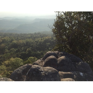 รูปถ่าย ไทย(Thailand) อุทยานแห่งชาติภูหินร่องกล้า(Phu Hin Rong Kla National Park) 2014-12 109