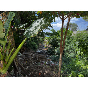 รูปถ่าย ไทย(Thailand) เกาะลันตา(Ko Lanta) 2023-01 182