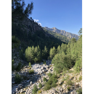 รูปถ่าย ฝรั่งเศส(France) คอร์สิคา(Corsica) หุบเขาลาเรสโตนีกา(La Restonica) 2020-07 122