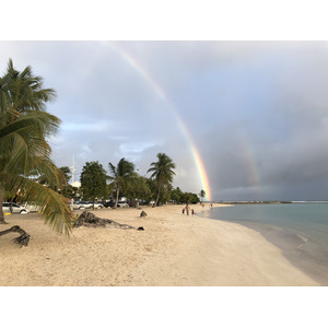 รูปถ่าย กวาเดอลูป(Guadeloupe) แซ็งตาน(Sainte Anne) 2021-02 63