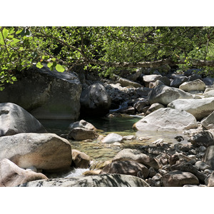 รูปถ่าย ฝรั่งเศส(France) คอร์สิคา(Corsica) หุบเขาลาเรสโตนีกา(La Restonica) 2020-07 54
