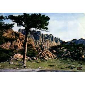 รูปถ่าย ฝรั่งเศส(France) คอร์สิคา(Corsica) โปสการ์ดเก่า(Old Postcards) 1900-01 196