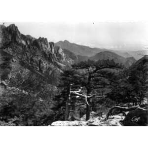 รูปถ่าย ฝรั่งเศส(France) คอร์สิคา(Corsica) โปสการ์ดเก่า(Old Postcards) 1900-01 141