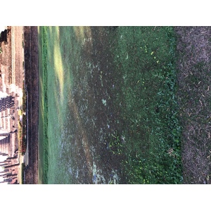 รูปถ่าย ไทย(Thailand) สุโขทัย(Sukhothai) 2014-12 11