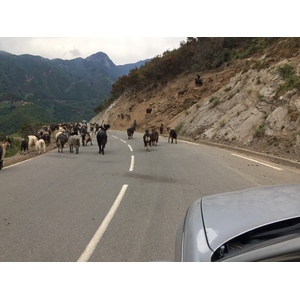 รูปถ่าย ฝรั่งเศส(France) คอร์สิคา(Corsica) วัลเล-ดาเลซานี(Valle d'alesani) 2017-07 15