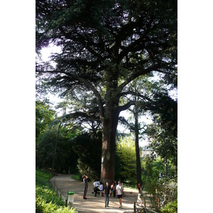 รูปถ่าย ฝรั่งเศส(France) ปารีส(Paris) สวนพันธ์ุพืช(Jardin des Plantes) 2007-08 11