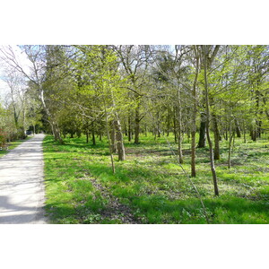 รูปถ่าย ฝรั่งเศส(France) ปราสาทเชอนงโซ(Chenonceau Castle) สวนปราสาทเชอนงโซ(Gardens of Chenonceau) 2008-04 6