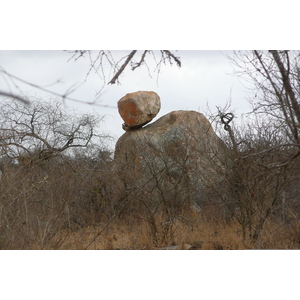 รูปถ่าย แอฟริกาใต้(South Africa) อุทยานแห่งชาติครูเกอร์(Kruger National Park) ถนนเลียบแม่น้ำครอกโคไดล์(Crocodile River road) 2008-09 66