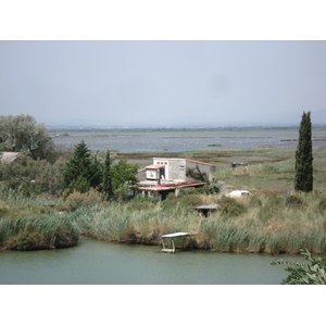 รูปถ่าย ฝรั่งเศส(France) กามาร์เกอ(Camargue) 2006-06 13