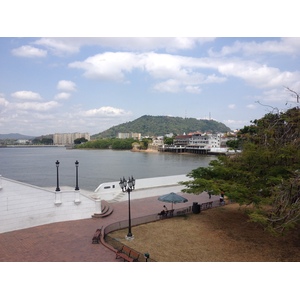 รูปถ่าย ปานามา(Panama) ปานามาซิตี(Panama City) 2015-03 162