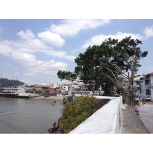 รูปถ่าย ปานามา(Panama) ปานามาซิตี(Panama City) 2015-03 128